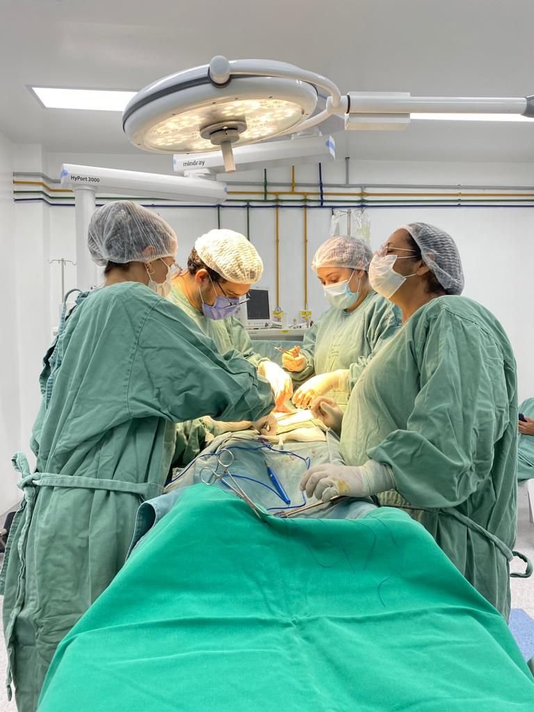 Amparo de Maria celebra mês da mulher com cirurgias eletivas 